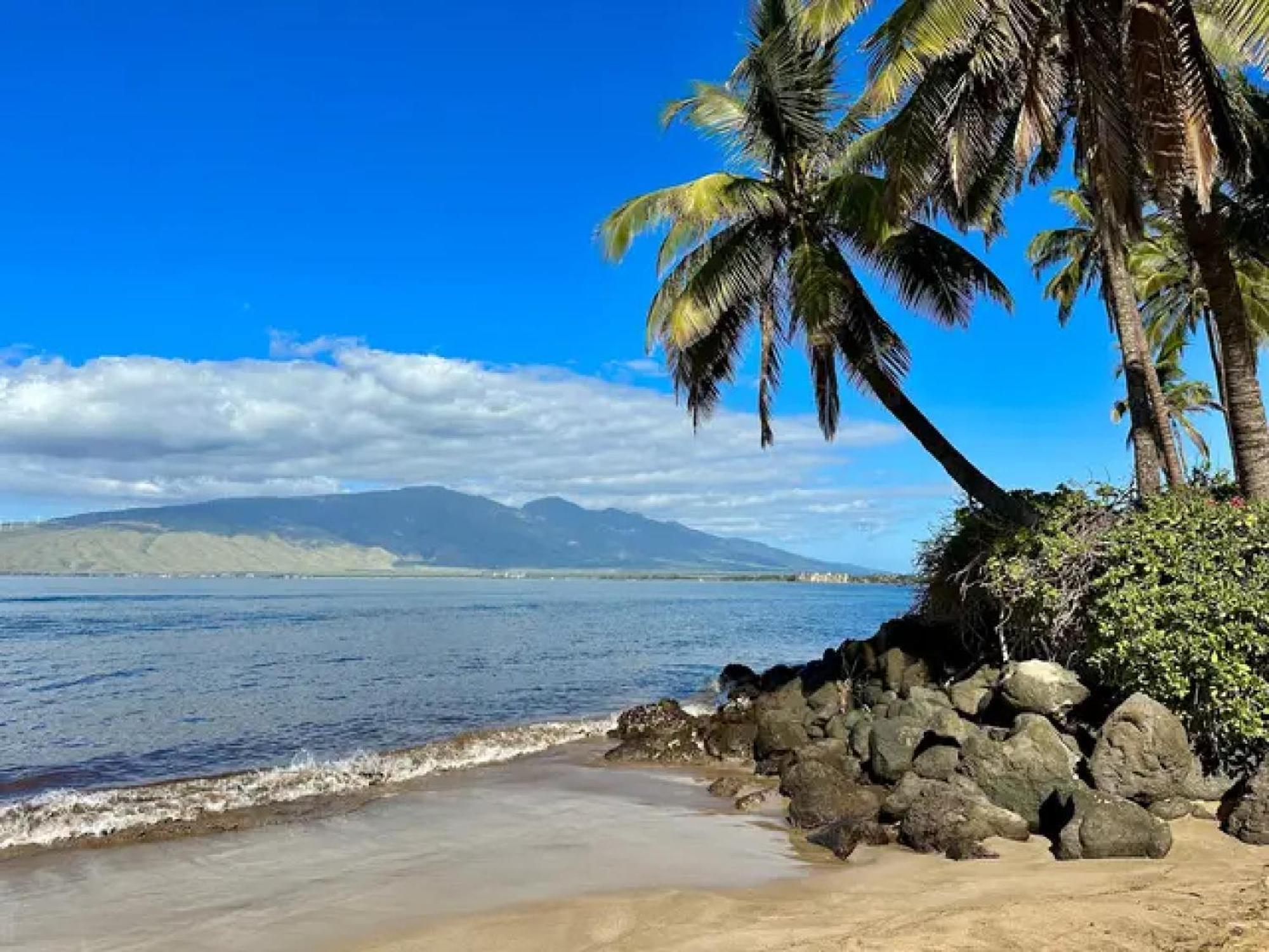 3Mins Walk To Beach! Laundry, Pool, Hot Tub & More Kihei Exterior foto